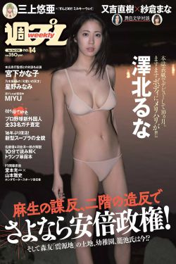 红苹果乐园演员表